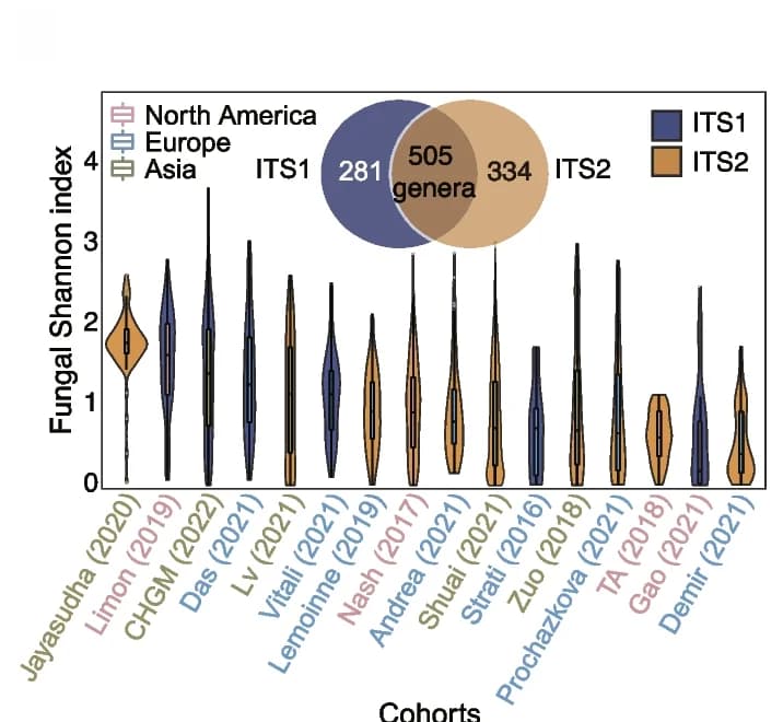 Open access visualization of Violin Plot, Venn Diagram, Fungal Shannon Diversity, Distribution, Study Populations