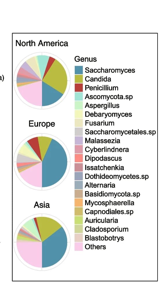 Open access visualization of Pie Chart, Correlation, Shannon Index, Bacteria, Fungi