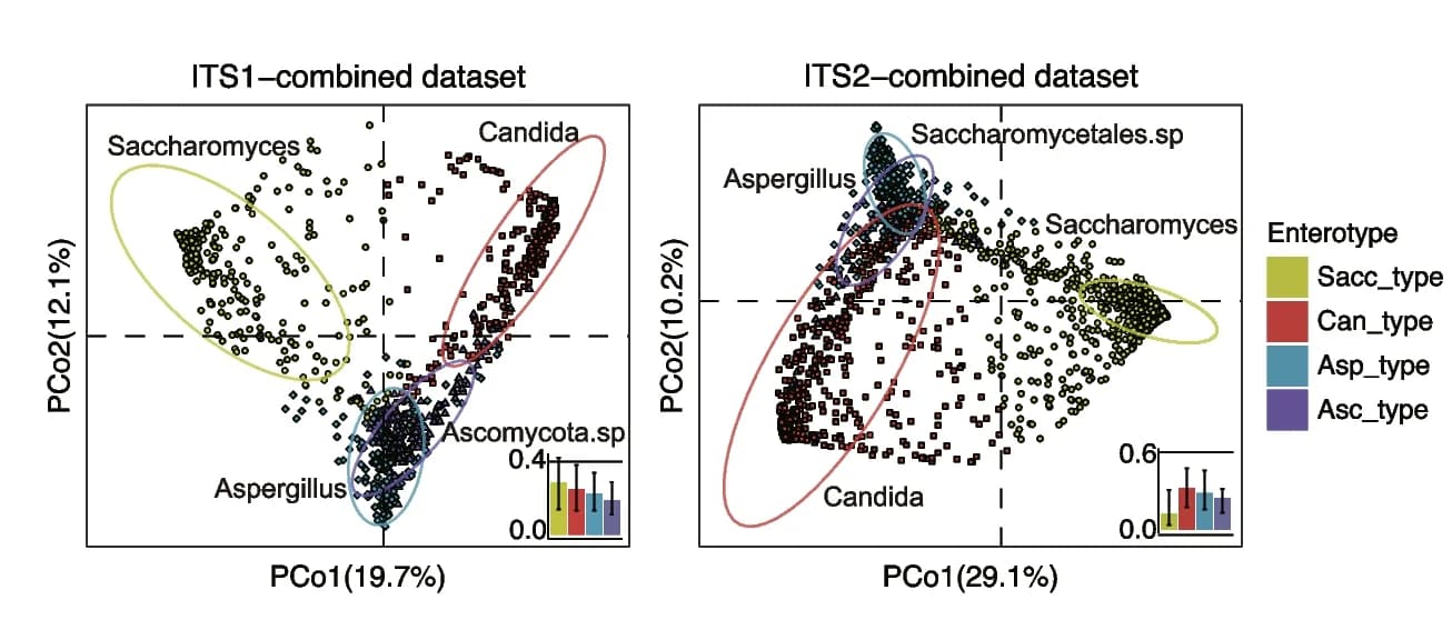 Open access visualization of Scatter Plot, Bar Plot, Error Bars, PCA, Fungal enterotypes