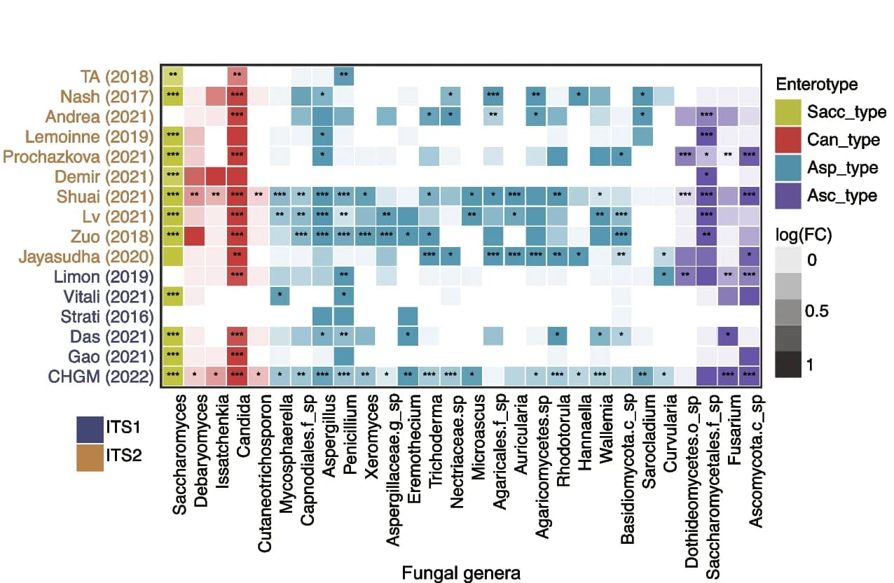 Open access visualization of Heatmap, Clustered, Fungal genera, Cohorts, Fold change