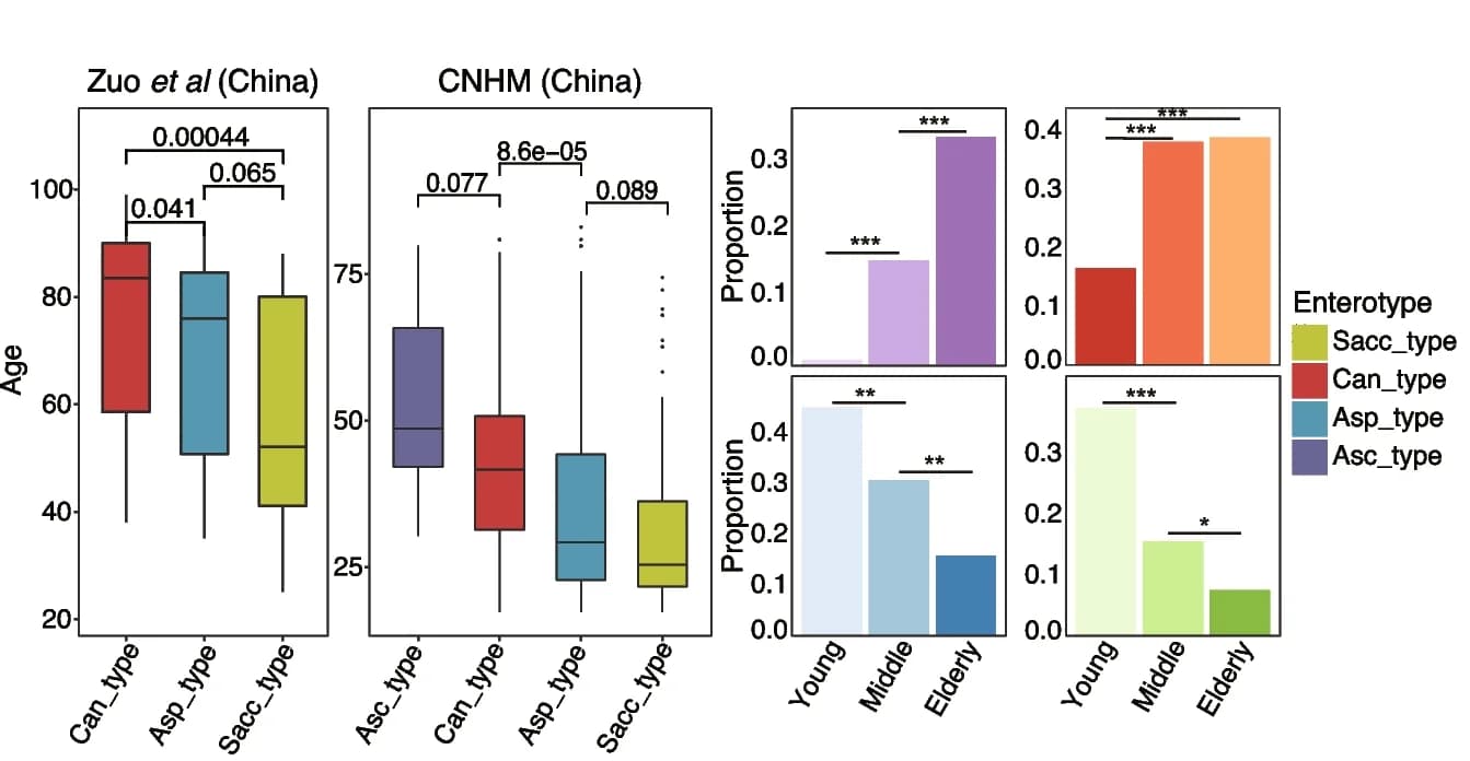 Open access visualization of Box Plot, Bar Plot, Age distribution, Fungal enterotypes, Wilcoxon rank-sum test