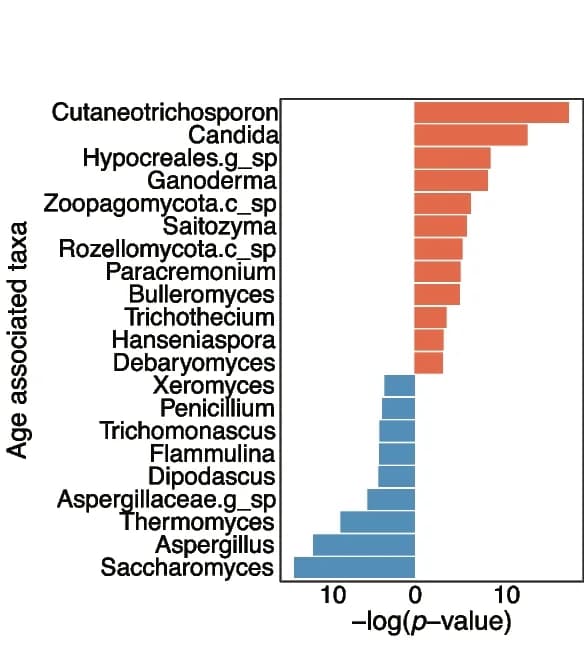 Open access visualization of Bar Plot, Gut aging index, Fungal enterotypes, Wilcoxon rank-sum test, Boxplots