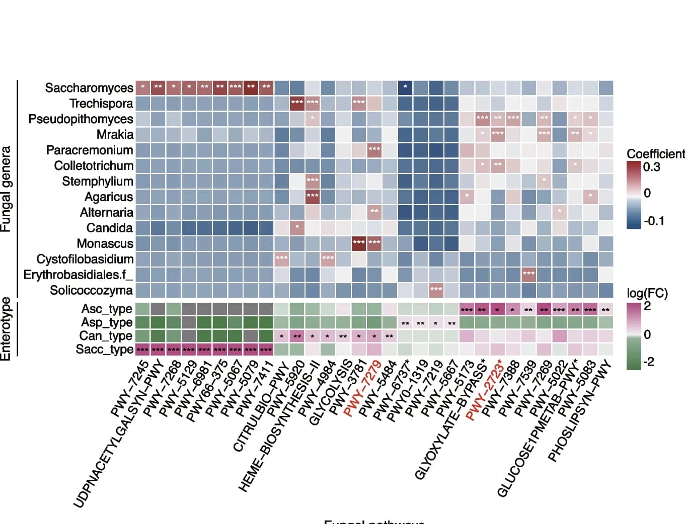 Open access visualization of Heatmap, Clustered, Fungal Enterotypes, Fungal Genera, Metabolic Pathways