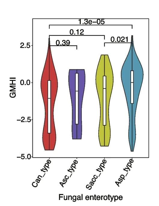 Open access visualization of Violin Plot, Correlations, Human DNA contents, Relative abundance, Aerobic respiration