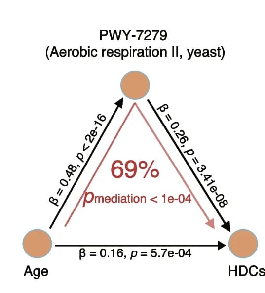 Open access visualization of Network, Pathway, Mediation linkages, Chronological age, Pathway PWY-7279