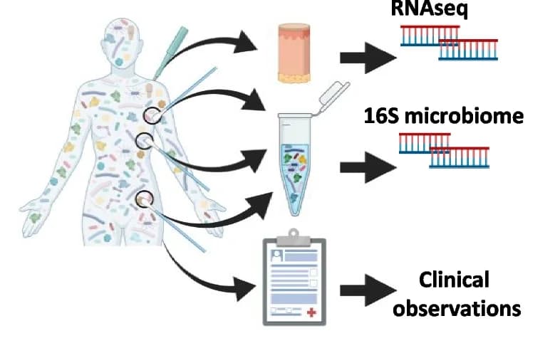 Open access visualization of Workflow, Illustration, Microbiome, Transcriptome, Sampling