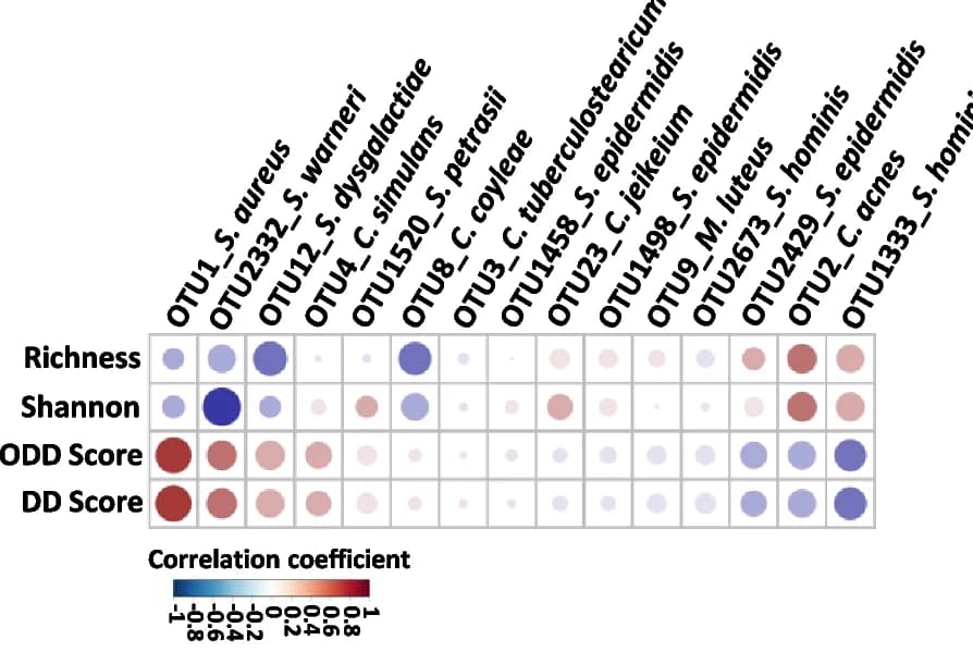 Open access visualization of Bubble Plot, Heatmap, Taxa, α-diversity, Richness