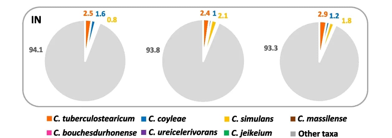 Open access visualization of Pie Chart, Pie Charts, Corynebacterium, Taxa, Distribution