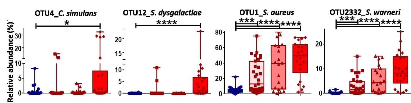 Open access visualization of Box Plot, Scatter Plot, Taxa, Odour Intensity, Kruskal–Wallis test