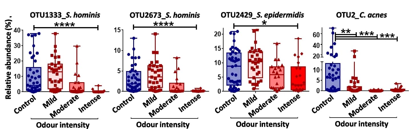 Open access visualization of Box Plot, Scatter Plot, Taxa, Odour Intensity, Kruskal–Wallis test