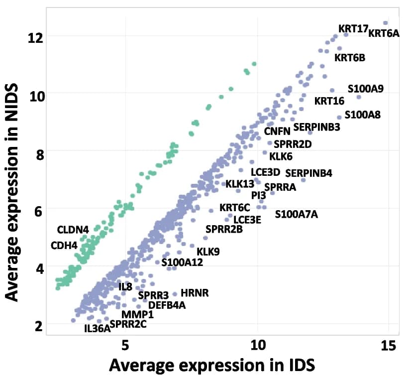 Open access visualization of Scatter Plot, Gene Expression Profiles, Regulated Transcripts, Inflamed Skin, Non-inflamed Skin