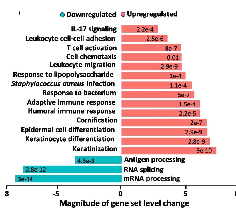 Open access visualization of Bar Plot, Gene Ontology Analysis, Epidermal Repair Pathways, Immune Responses, Pathogens