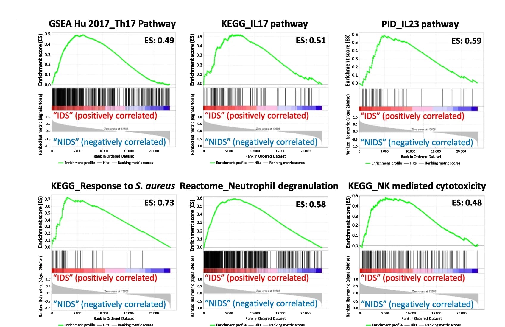 Open access visualization of Line Plot, Bar Plot, Gene Set Enrichment Analysis, Immune Pathways, Enrichment Score