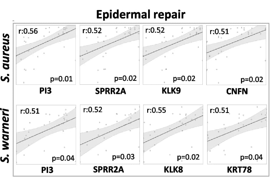 Open access visualization of Scatter Plot, Regression Plot, Linear correlations, Epidermal repair, Antimicrobial defence