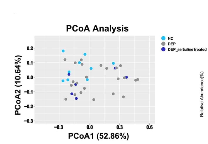 Open access visualization of Scatter Plot, PCA, Principal Coordinate Analysis, Beta Diversity, UniFrac Distances