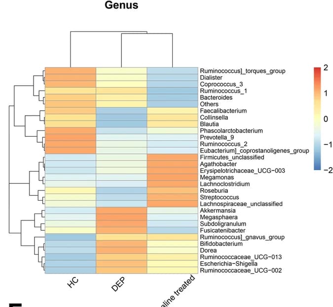 Open access visualization of Heatmap, Clustered, Relative Abundance, Microbiota Genera, Healthy Controls