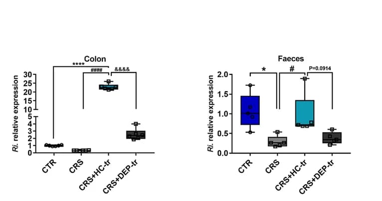 Open access visualization of Box Plot, Scatter Plot, Ri., Colon, Feces