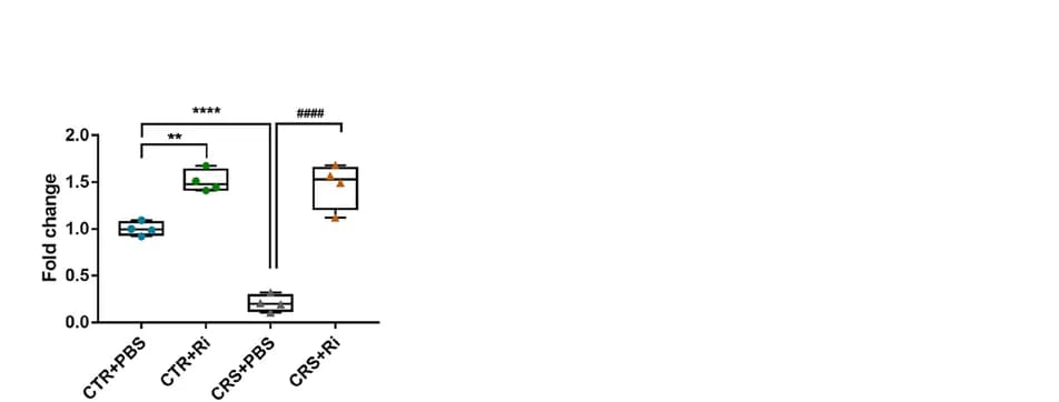 Open access visualization of Box Plot, Scatter Plot, Fluorescence intensity, Ri. colonization, Scale bar
