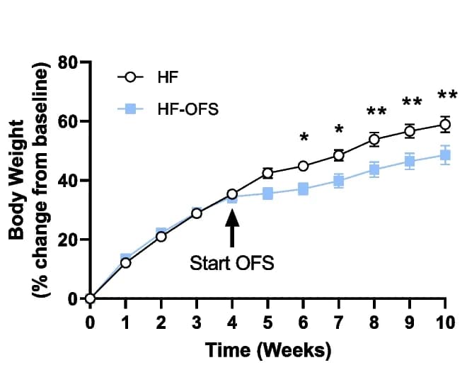 Open access visualization of Line Plot, Error Bars, Body Weight, HF Diet, HF-OFS Diet