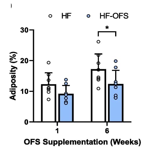 Open access visualization of Bar Plot, Error Bars, Scatter Plot, Adiposity, HF Diet