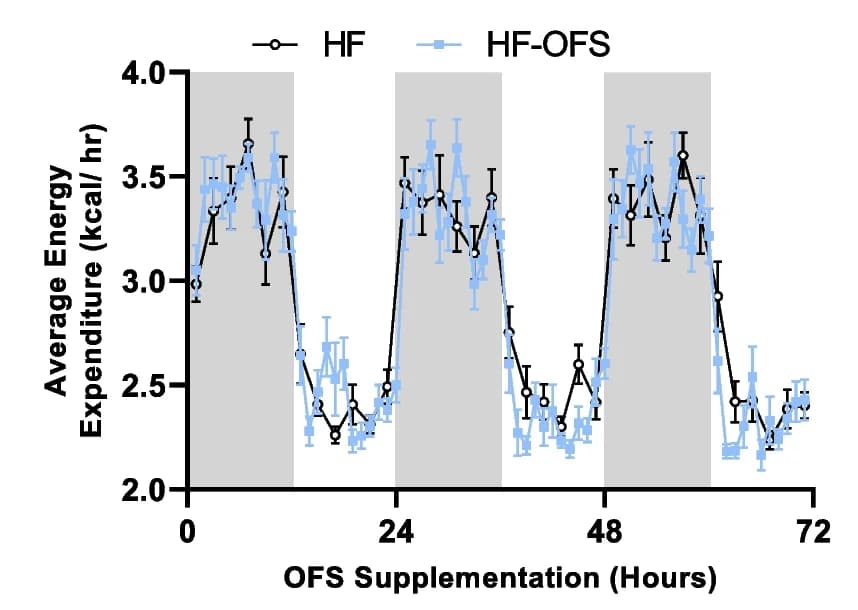 Open access visualization of Line Plot, Error Bars, Energy Expenditure