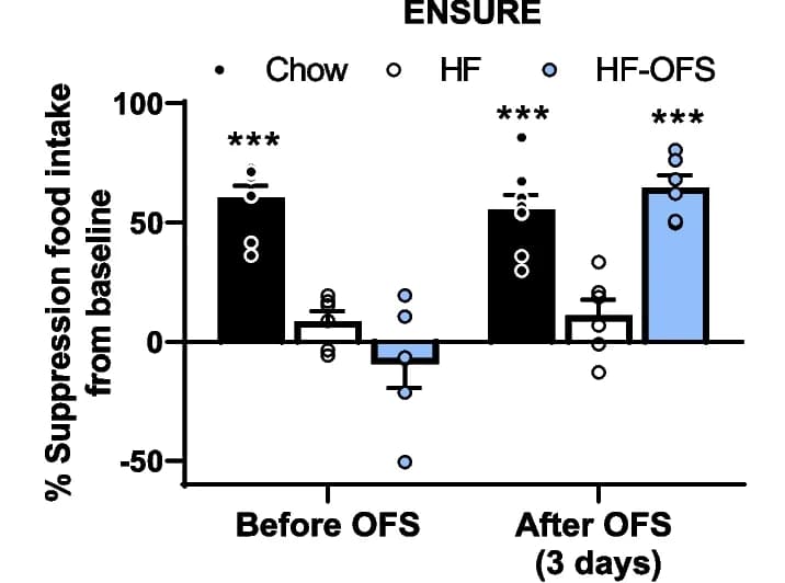 Open access visualization of Bar Plot, Error Bars, Scatter Plot, Food intake, Saline infusion