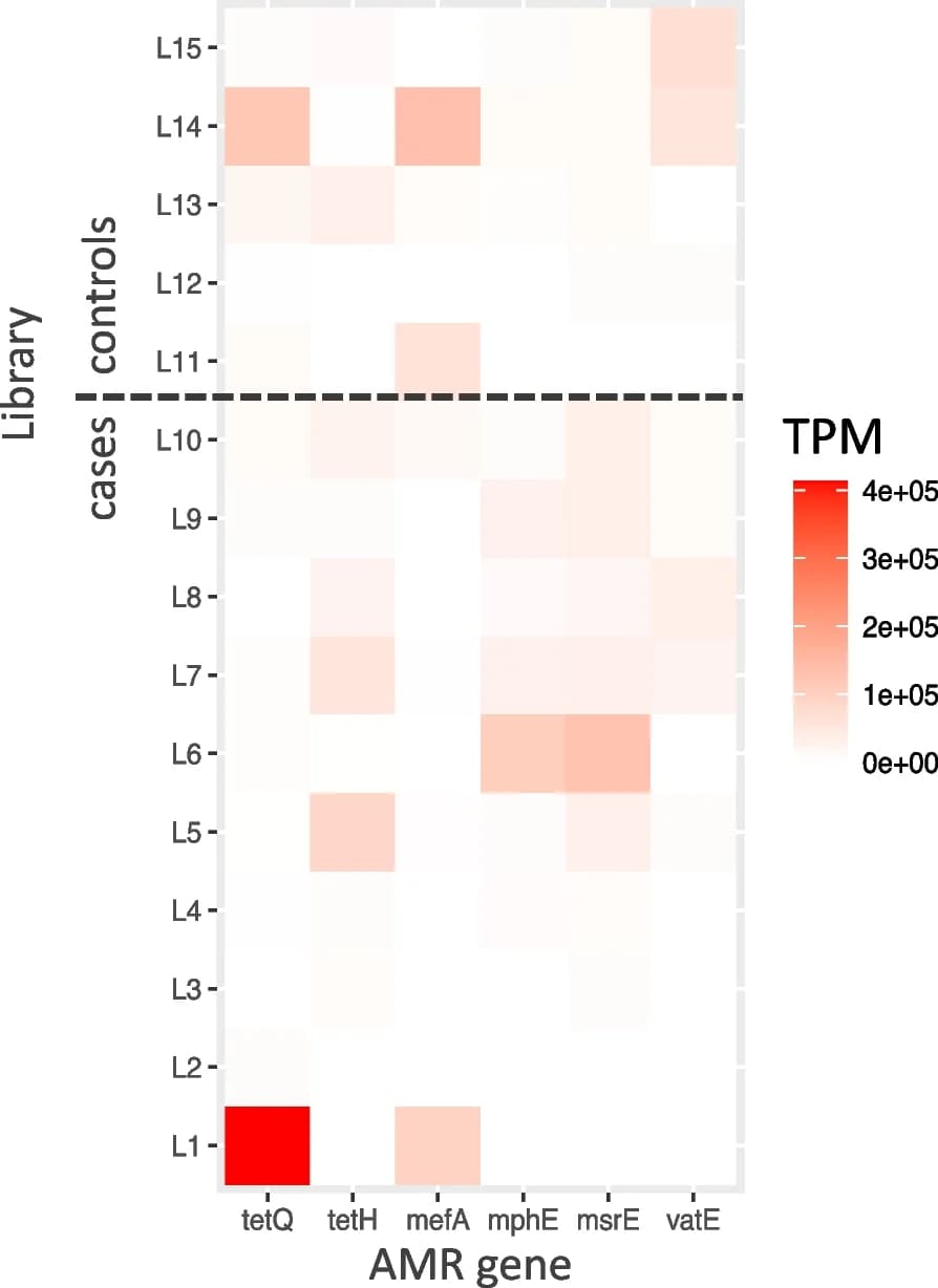 Open access visualization of Heatmap, Transcripts Per Million, AMR Gene, Transcriptome, BRD