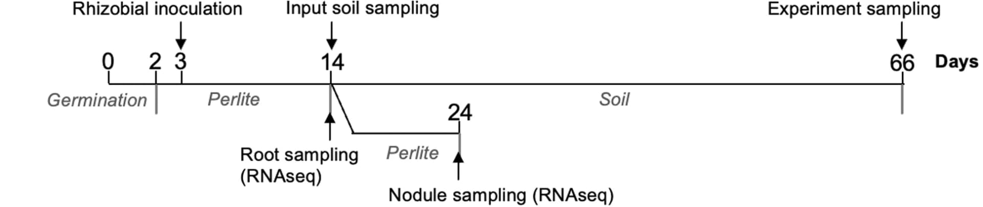 Open access visualization of Line Plot, Line Step, Experimental design, Soil, Microbe