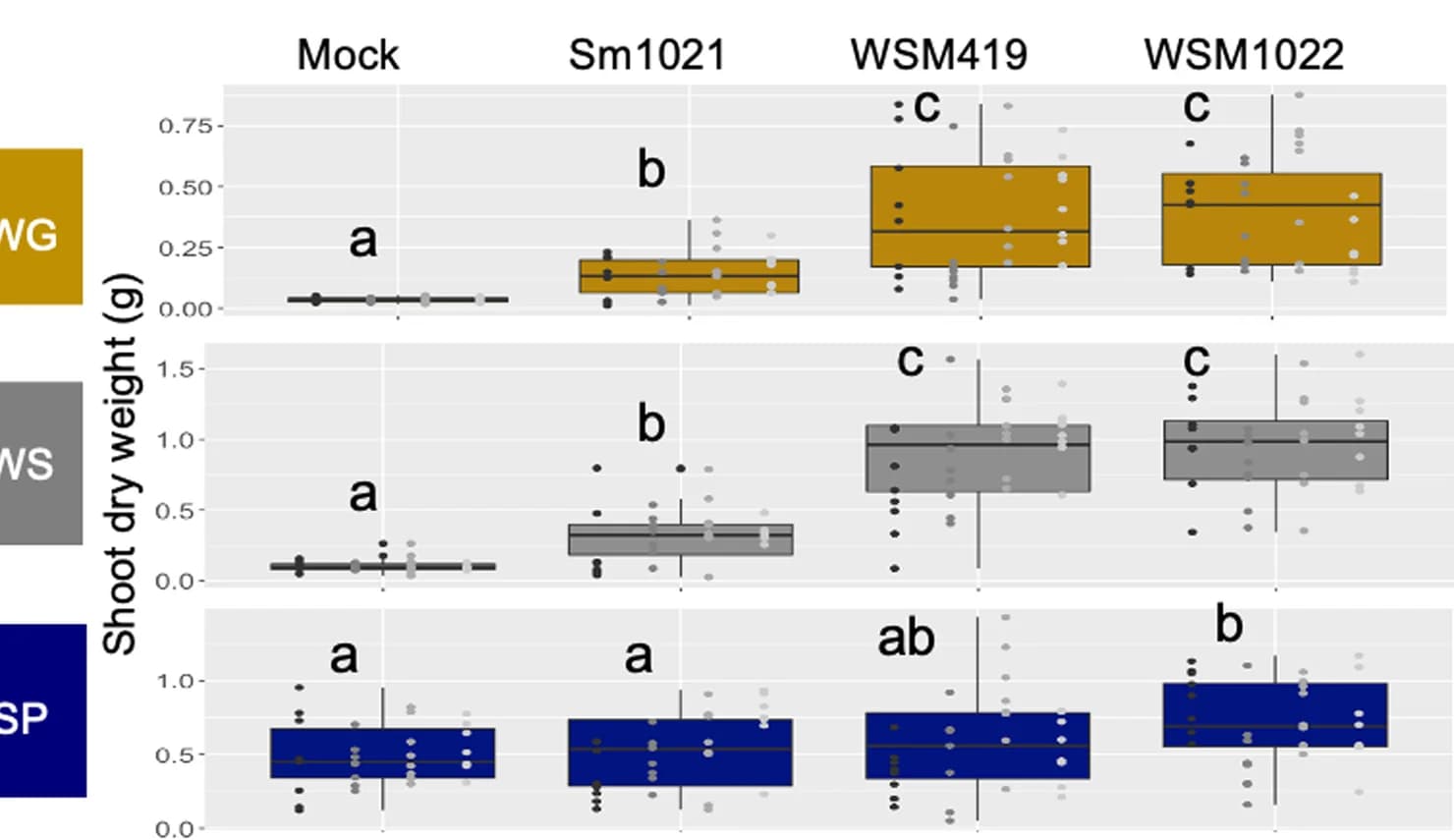 Open access visualization of Box Plot, Scatter Plot, Dry Weight, ANOVA, TukeyHSD