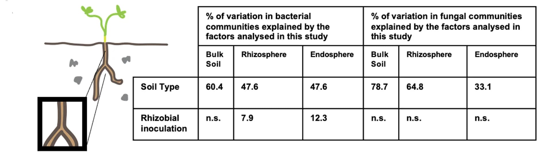 Open access visualization of Illustration, Table Image, Microbial Communities