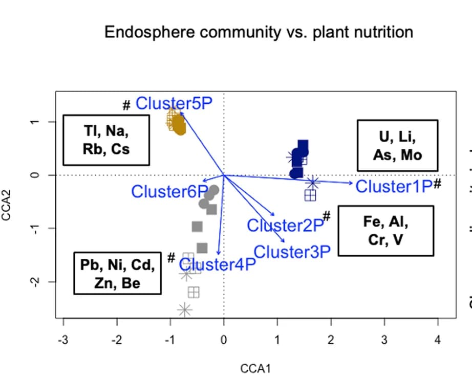 Open access visualization of Scatter Plot, Endosphere Bacterial Communities, Plant Shoot Nutrients, CCA Analysis, Correlation