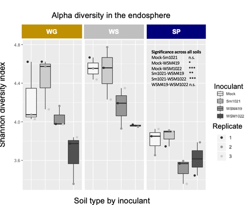 Open access visualization of Box Plot, Scatter Plot, Alpha Diversity, Endosphere Bacterial Communities, Inoculation