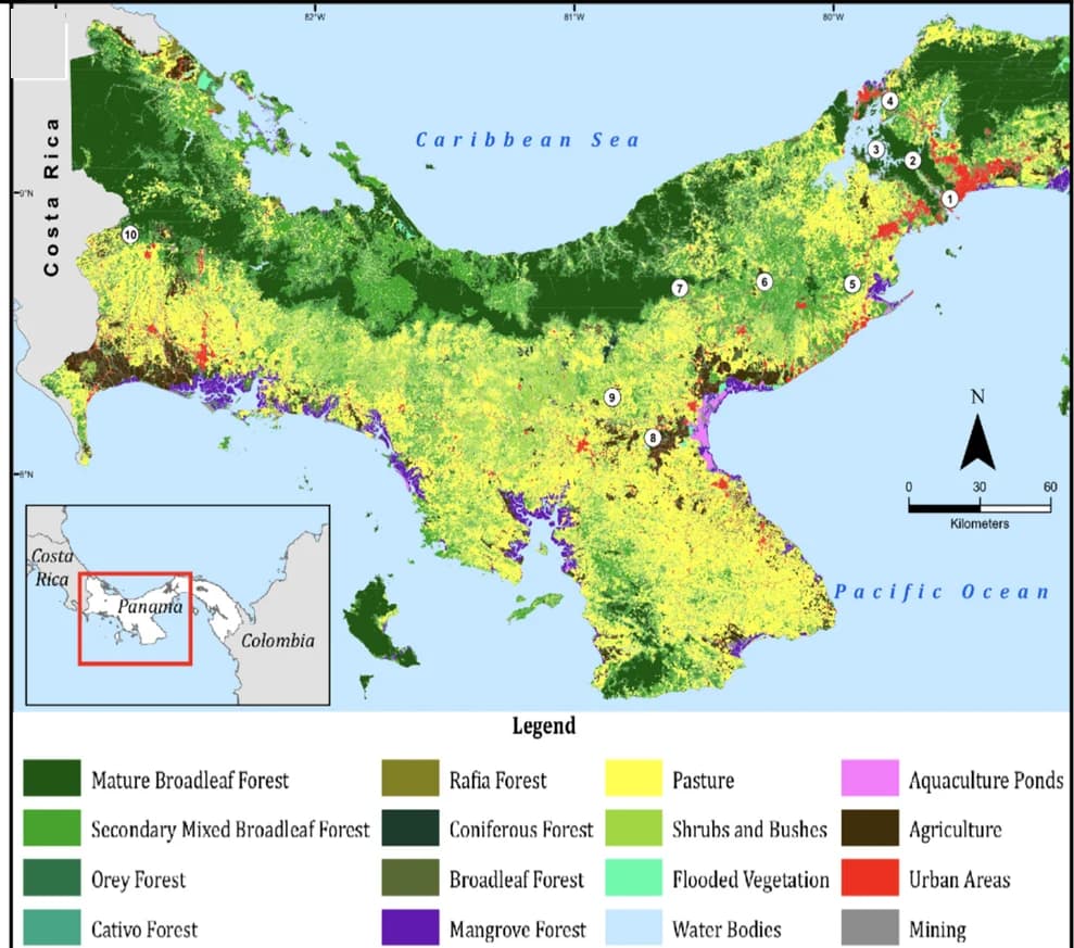 Open access visualization of Geo Map, Phylogenetic Relationships, Bee Tribes