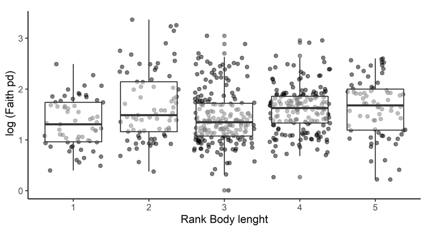 Open access visualization of Box Plot, Scatter Plot, Phylogenetic Diversity, Body Length, Bee Species