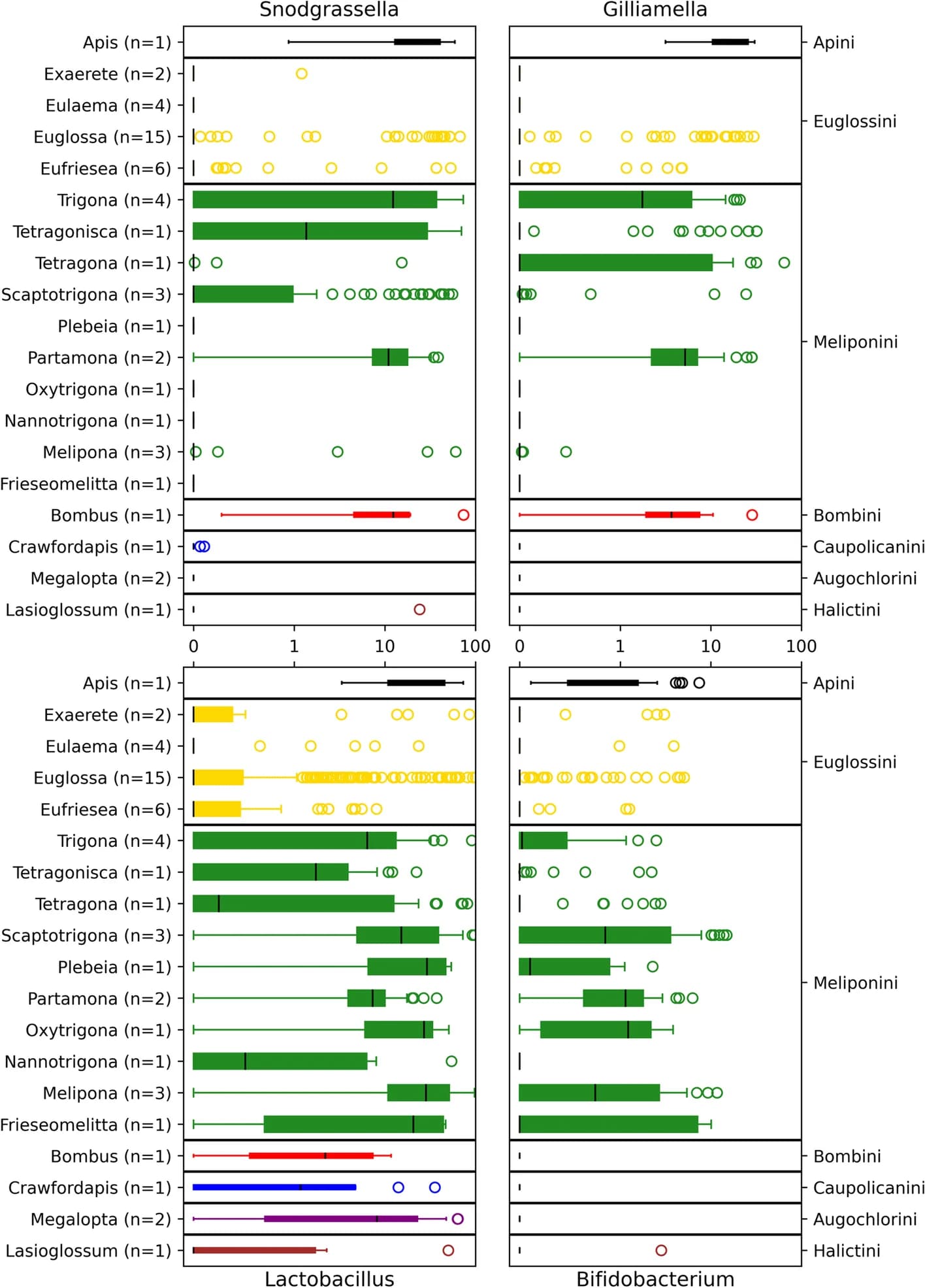 Open access visualization of Box Plot, Scatter Plot, CCGM, Relative Abundance, Bee Genera