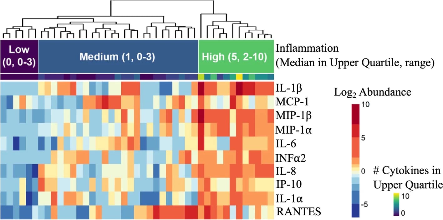 Open access visualization of Heatmap, Clustered, Inflammation Groups, Cytokine Levels, Cervicovaginal Fluid