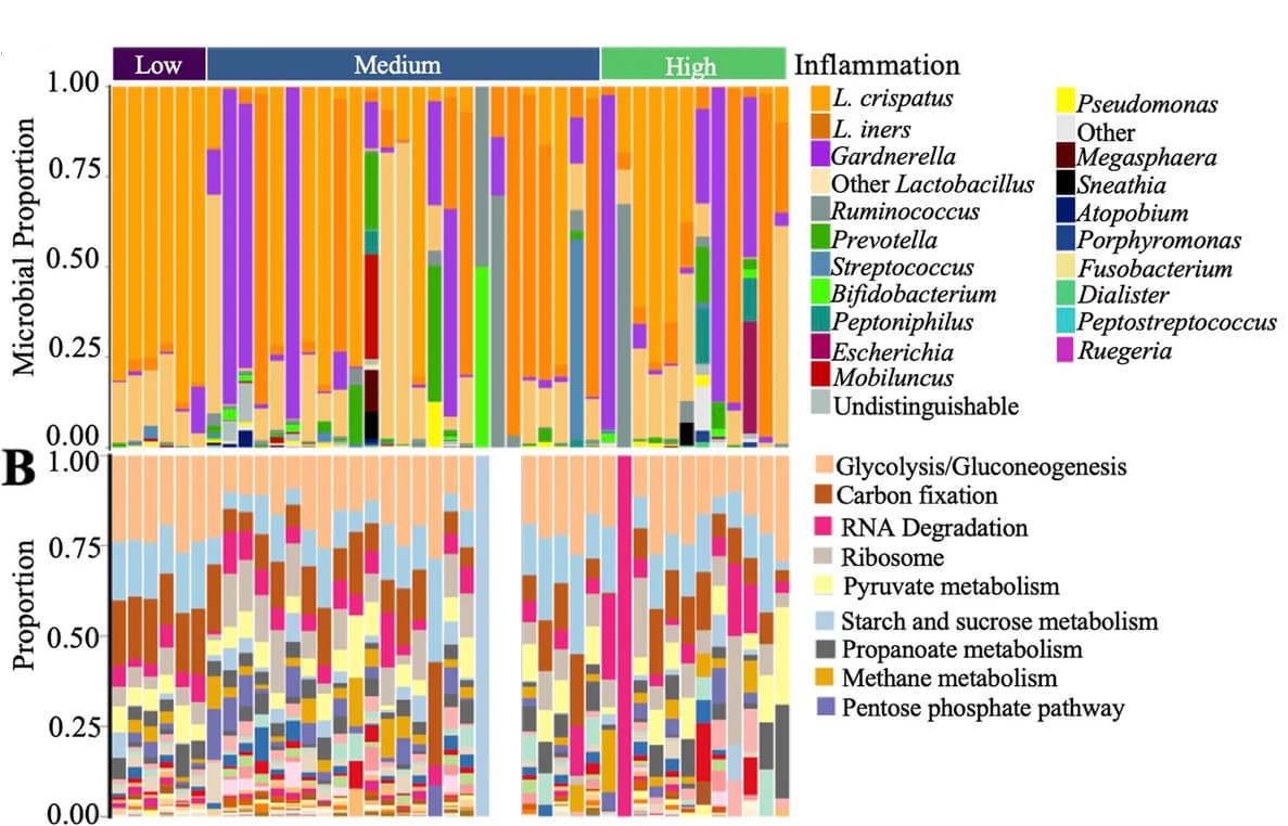 Open access visualization of Stacked Bar Plot, Taxa, Cervicovaginal Lavage, Mass Spectrometry, Inflammation Status