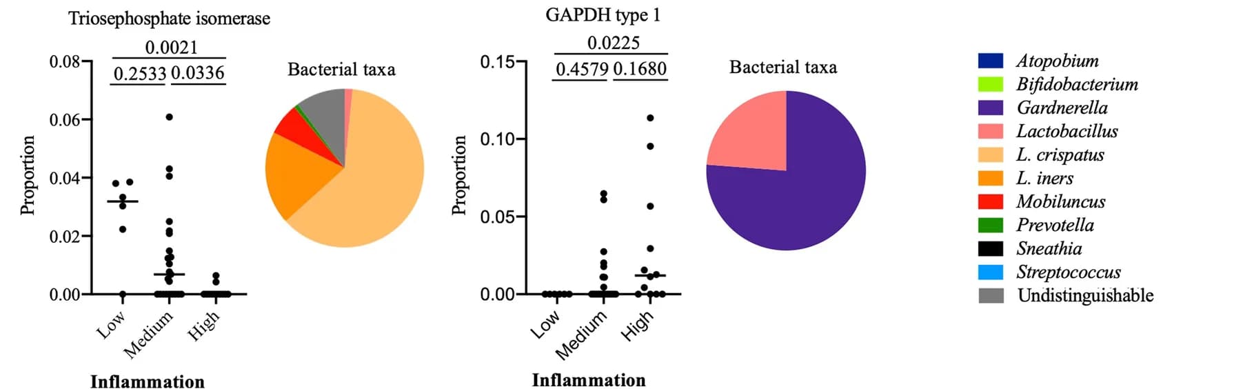 Open access visualization of Scatter Plot, Pie Chart, Bacterial Proteins, Inflammation Status, Bacterial Taxa