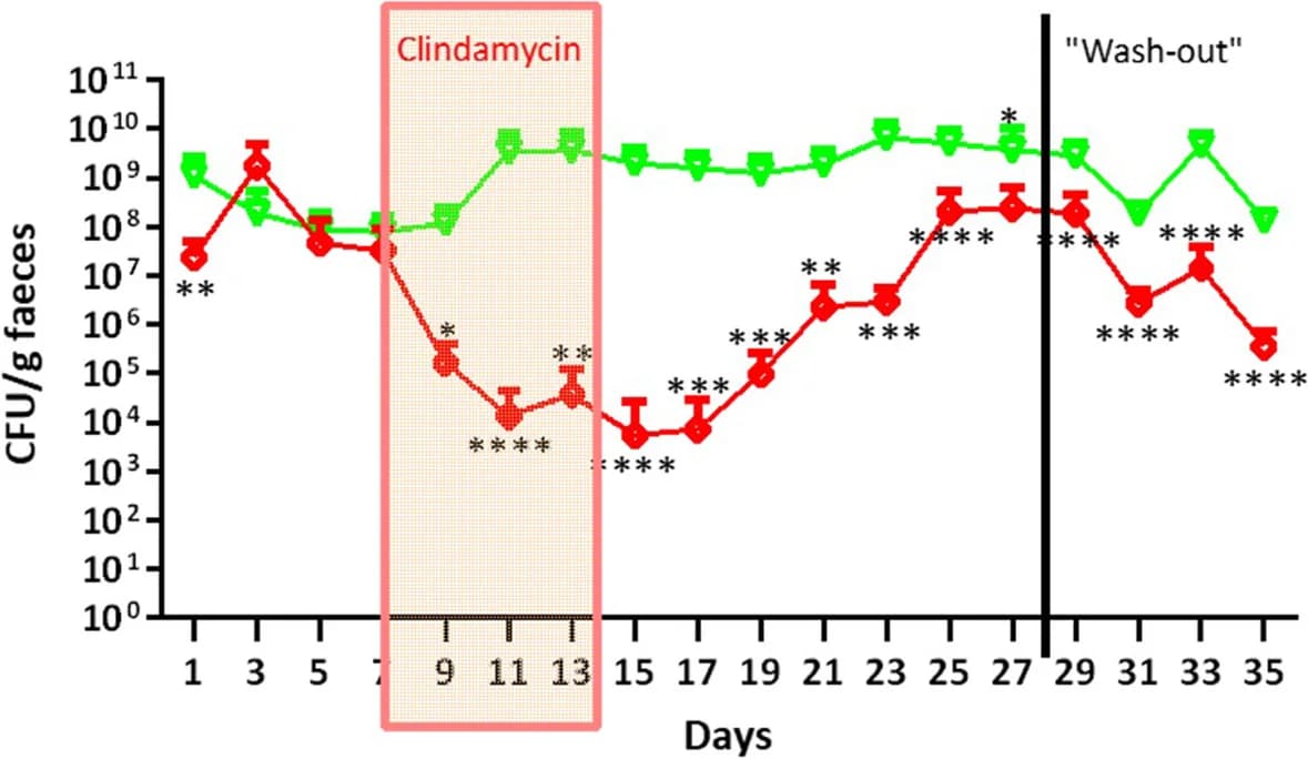 Open access visualization of Line Plot, Error Bars, Bifidobacterium, CFU/g, Fecal plating
