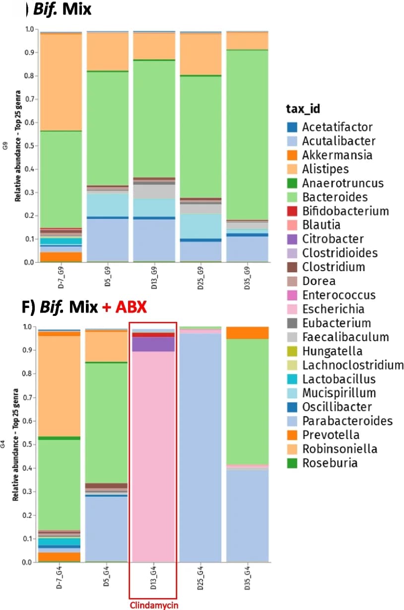 Open access visualization of Stacked Bar Plot, Relative Abundance, Genera, scGOS/lcFOS/2-FL, Bifidobacterium
