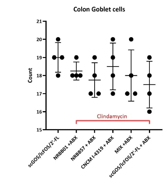 Open access visualization of Scatter Plot, Error Bars, Histological Scoring, Goblet Cells, Prebiotic Diet