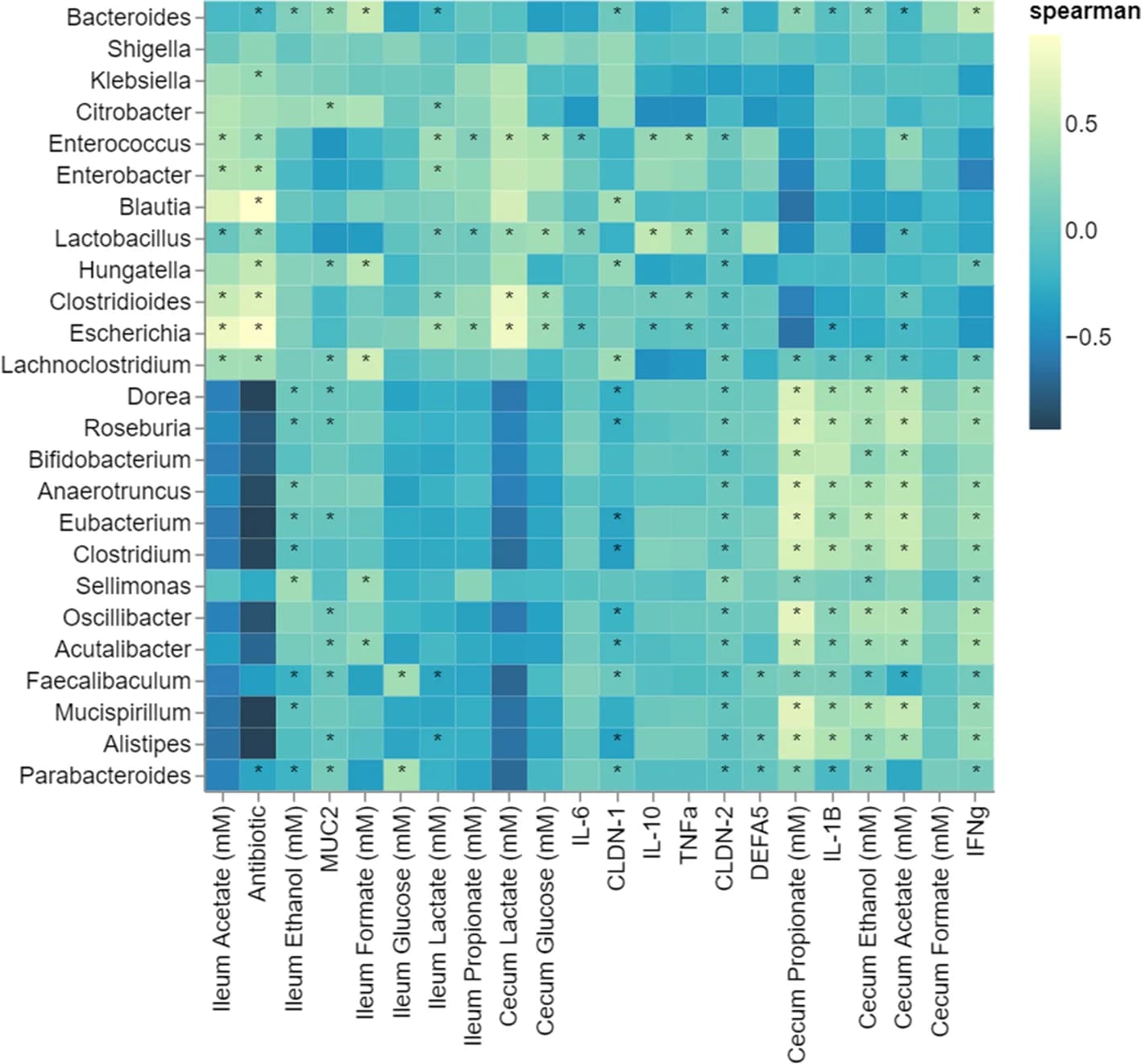 Open access visualization of Heatmap, Spearman Correlation, Genera, Histological Scores, Barrier Function