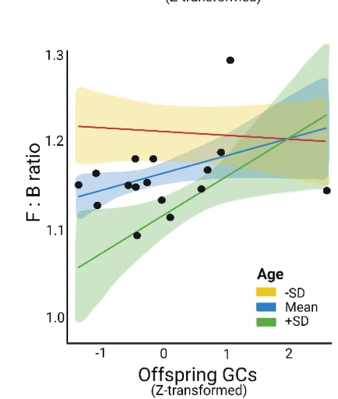 Open access visualization of Scatter Plot, Regression Plot, Offspring GCs, Offspring Age, Gut Bacteria