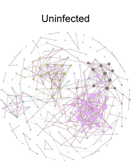 Open access visualization of Network, Pathway, Bacterial Co-occurrence Networks, 16S rRNA Gene Sequences, Ticks