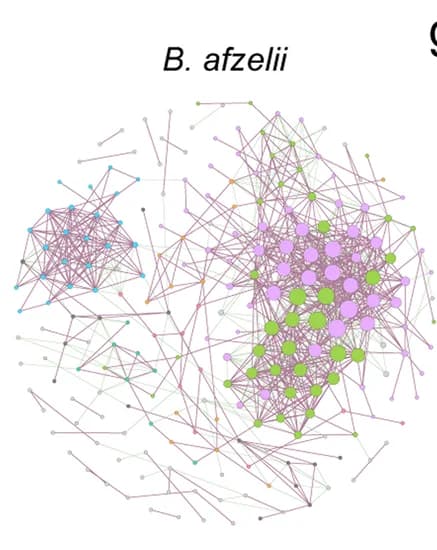 Open access visualization of Network, Pathway, Bacterial Co-occurrence Networks, 16S rRNA Gene Sequences, Ticks
