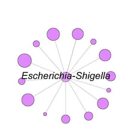 Open access visualization of Network, Sub-networks, Local Connectivity, Escherichia-Shigella, Uninfected