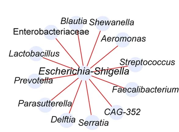 Open access visualization of Network, Pathway, Associations, Escherichia-Shigella, Uninfected