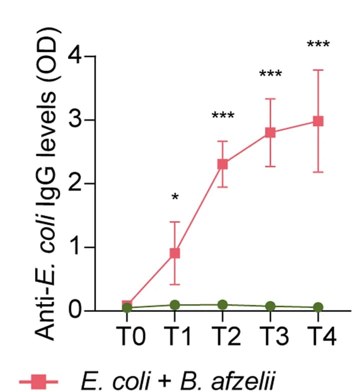 Open access visualization of Line Plot, Error Bars, Antibody Response, Mice, Borrelia afzelii