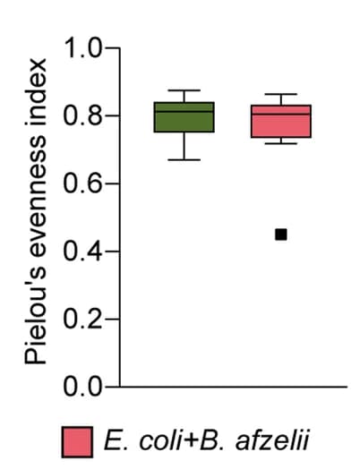 Open access visualization of Box Plot, Pielou’s evenness, Microbiota, Ticks, PBS