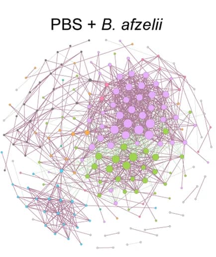 Open access visualization of Network, Pathway, Bacterial co-occurrence networks, 16SrRNA sequences, Ticks